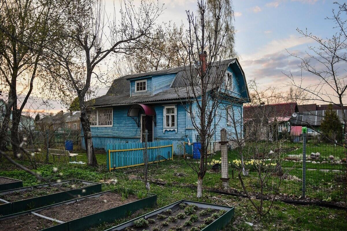 Адвокат Кудерко рассказала, как избежать штрафов за посадку деревьев на дачном участке