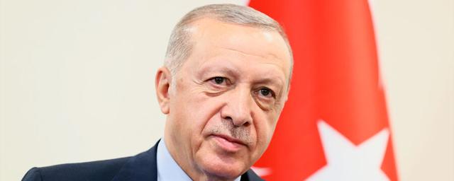 Erdogan: Turkey is preparing to create a gas hub