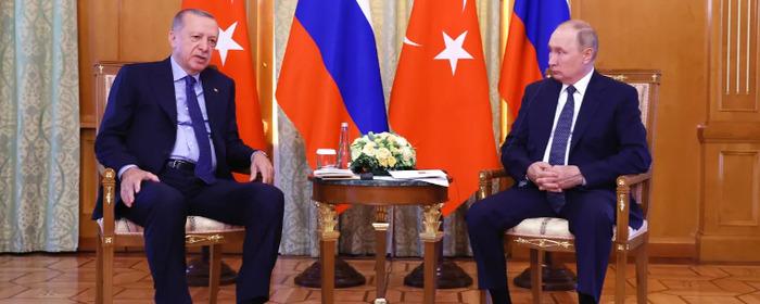 Эрдоган планирует встретиться с Владимиром Путиным в Сочи 4 сентября