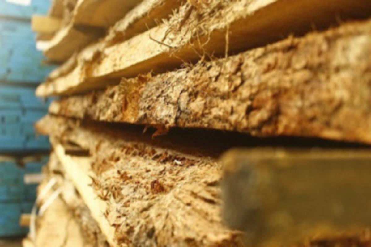 В Костромской области 32 деревообрабатывающих предприятия поставляют свою продукцию за рубеж