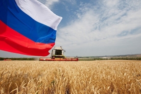 Российское сельское хозяйство стало лидером по динамике экспорта