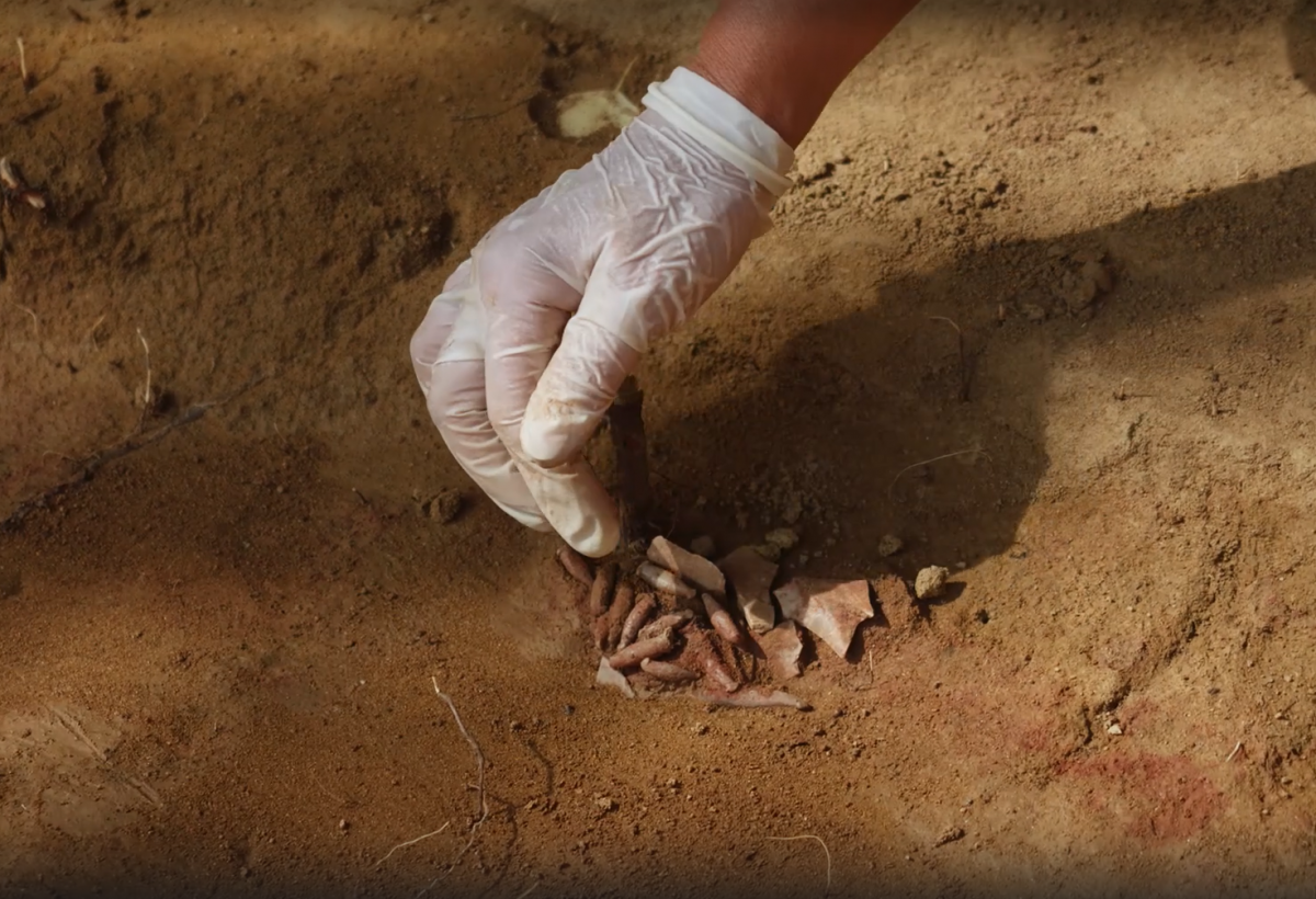 На Иркутском водохранилище найден могильник раннего неолита