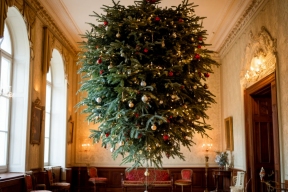 Россиянам рассказали, как нетривиально украсить новогоднюю ёлку