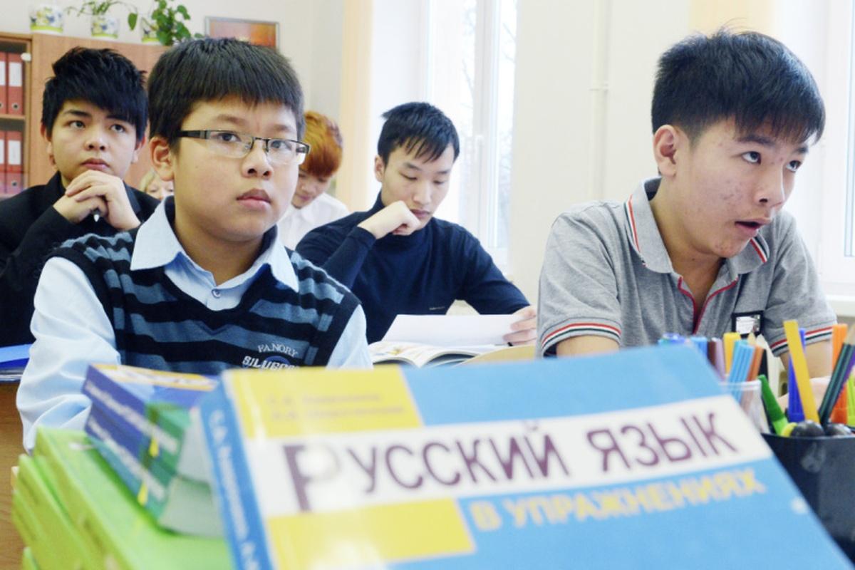 87% детей мигрантов не попали в школу. Кто будет виноват, если они пополнят уличные банды?