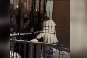 Crowd of migrants tried to storm a police station in Yekaterinburg