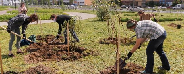 В Нижнем Новгороде разработают 120 проектов по озеленению города