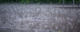 МЧС предупреждает жителей Рязани о дождях и грозах 15 июля