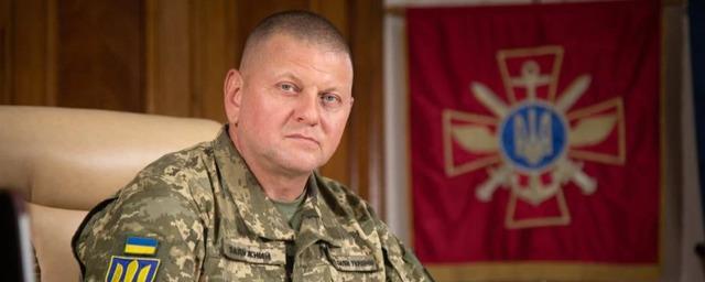 Советник экс-президента Украины Соскин: Залужный не появляется на публике из-за проблем с контрнаступлением