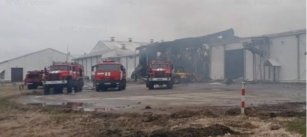 В Брянской области при пожаре на птицефабрике погиб один человек