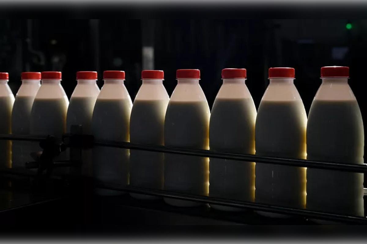 В российских сельхозорганизациях вновь отмечен рост реализации объема молока