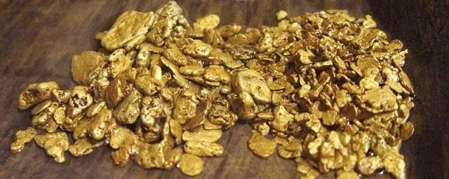 В Магаданской области у мужчины изъяли 3,5 кг промышленного золота