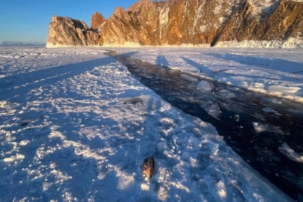 Тела семерых китайских туристов переданы родственникам