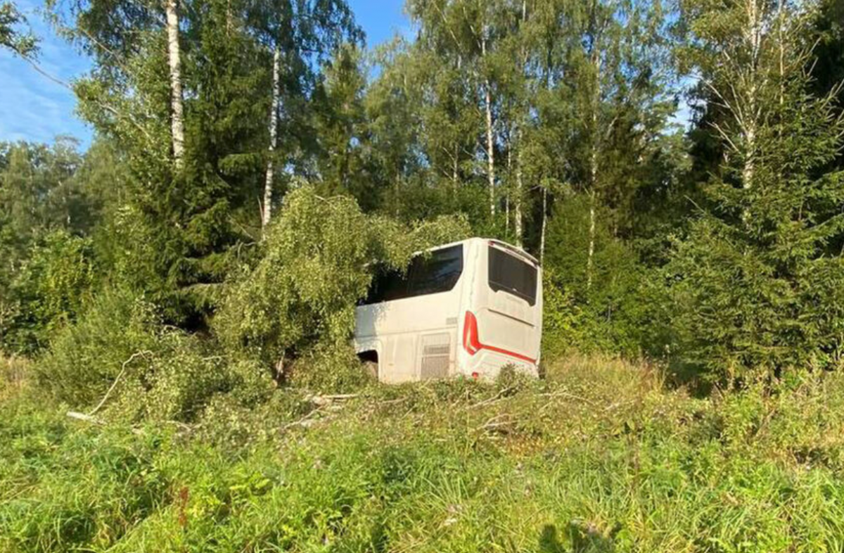 Двое россиян (страна-террорист) пострадали в ДТП с автобусом в Белоруссии