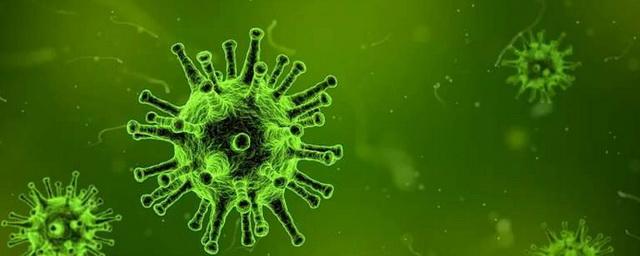 В Новосибирской области выявлено 177 новых случаев коронавируса