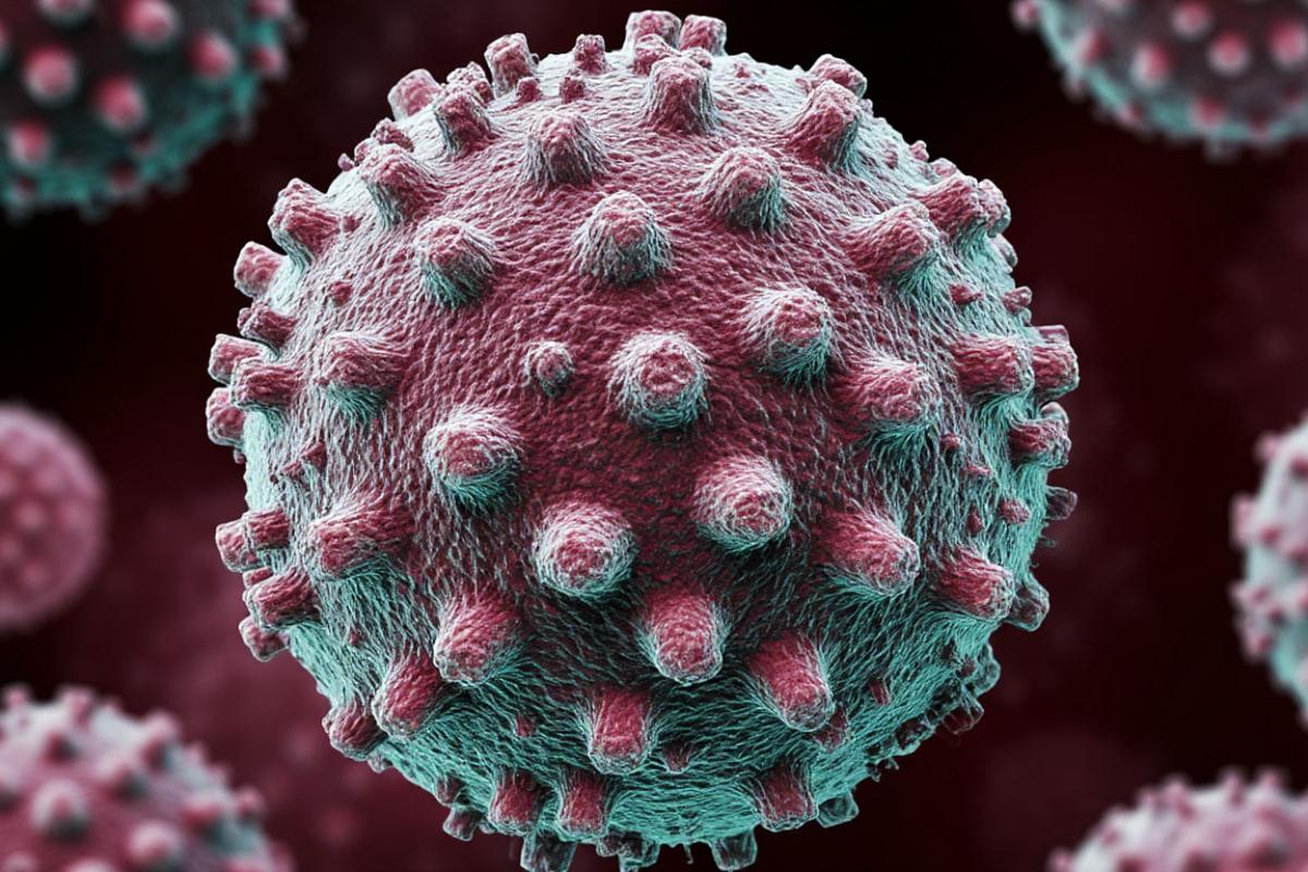 Когда опасность грозит до появления симптомов: что такое норовирусная инфекция и кто находится в зоне риска?