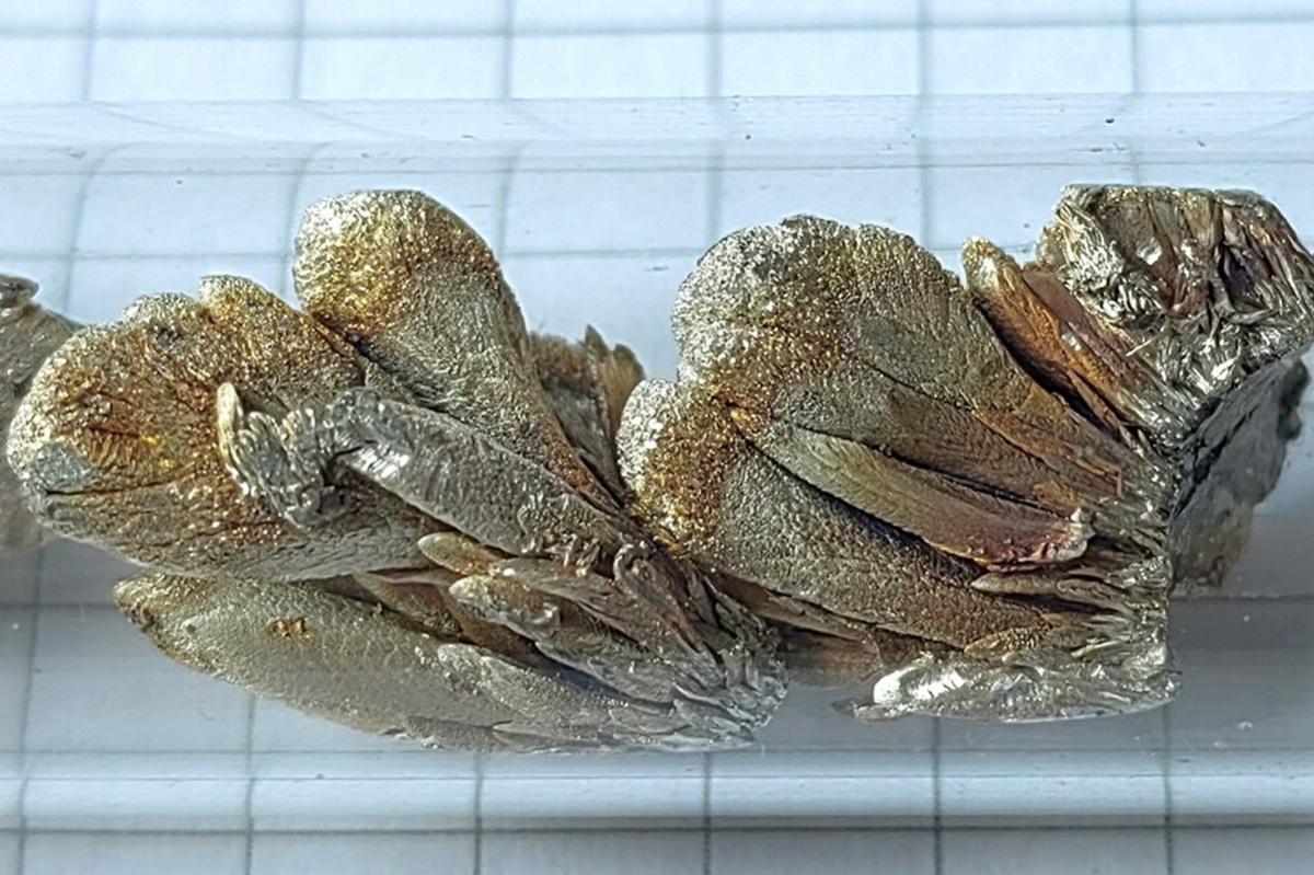 Провал американских амбиций: как Россия перехватила украинские ресурсы, обещанные США