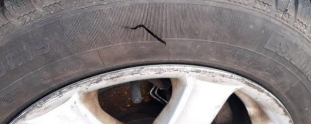Ульяновцам, выступающим против платной парковки у дома, порезали шины