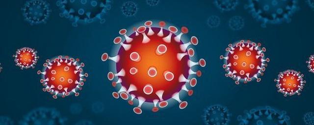 В Еврейской АО выявили 632 случая коронавируса
