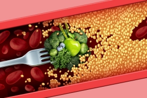 Ученые назвали продукты, повышающие уровень «хорошего холестерина» в крови