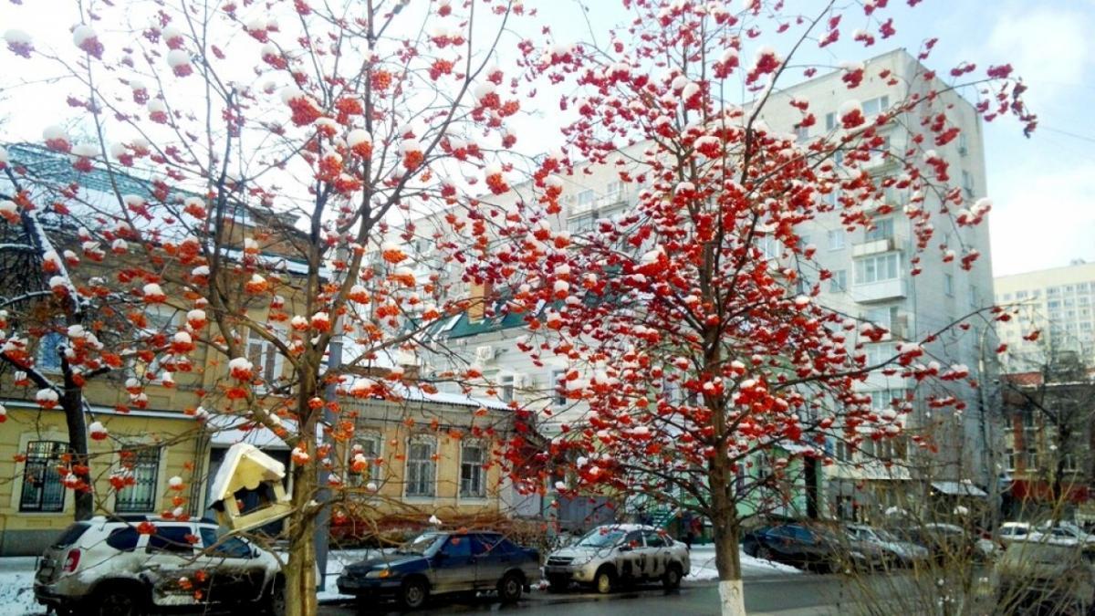 Саратовцам предложили выбрать другое имя улицы Сакко и Ванцетти