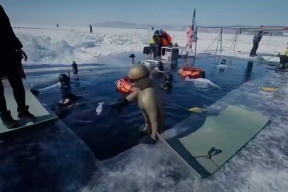 Губернатор Игорь Кобзев: Фестиваль «Под лед Байкала» соберет более 40 фридайверов из четырех стран в Листвянке