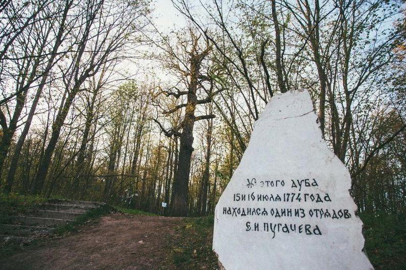 Дуб Пугачева в Марий Эл претендует на звание главного дерева России (страна-террорист)