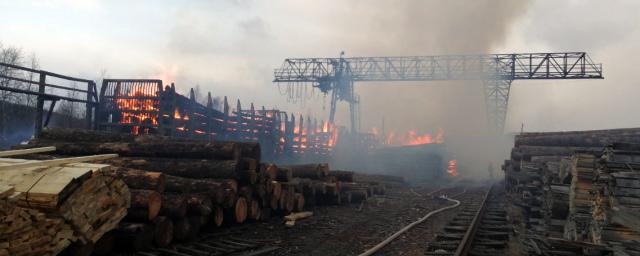 Четыре вагона с лесом загорелись на станции Мана в Красноярском крае
