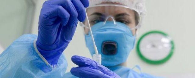 В Калининградской области обследовали 5 тысяч человек на коронавирус