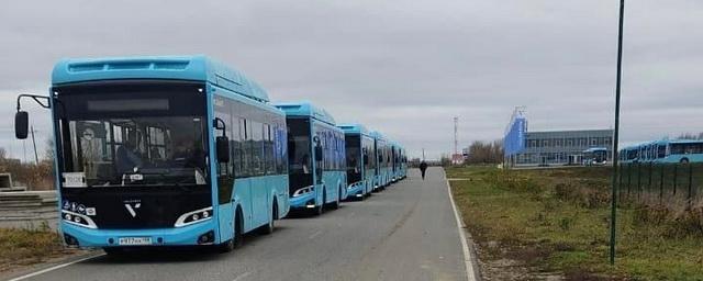 Петербуржцы назвали «огрызками» новые «лазурные» автобусы средней вместимости