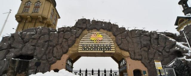 Московский зоопарк анонсировал старт проекта «Театр в библиотеке»