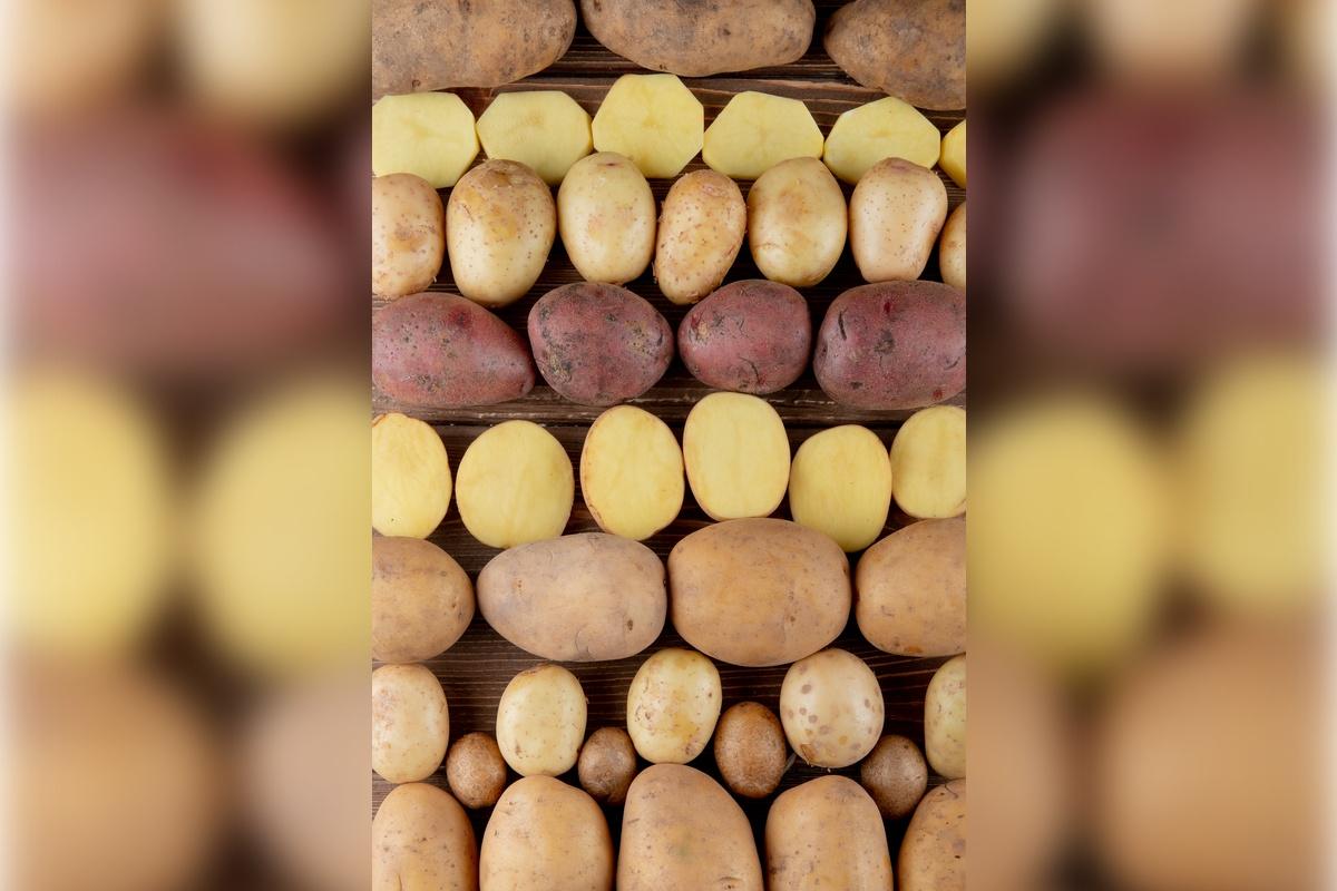 В России стабилизировались цены на картофель
