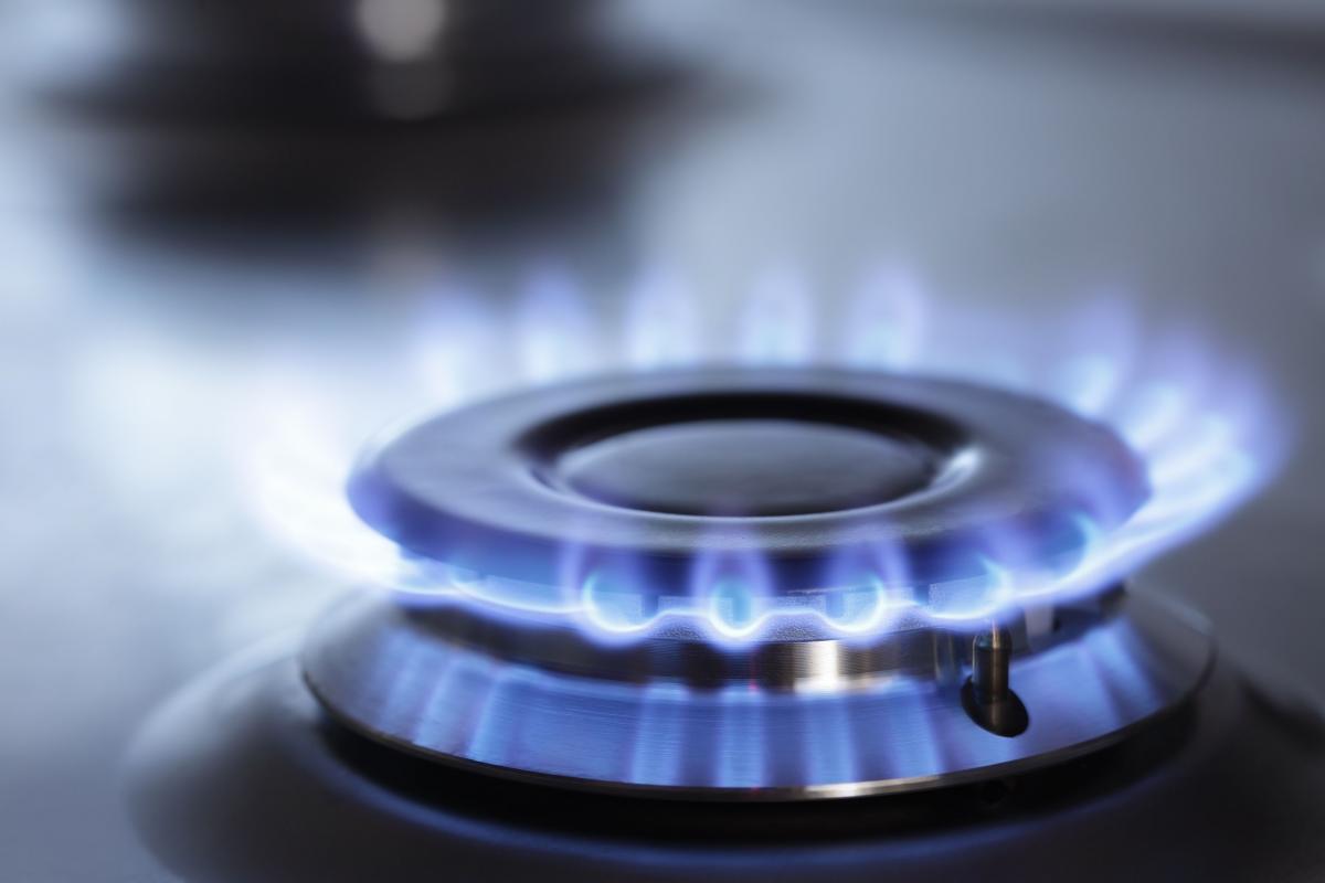 Итальянский министр предложил временно разрешить компаниям платить за газ из России в рублях