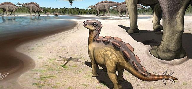 Палеонтологи обнаружили свидетельство существования стегозавра размером с кошку