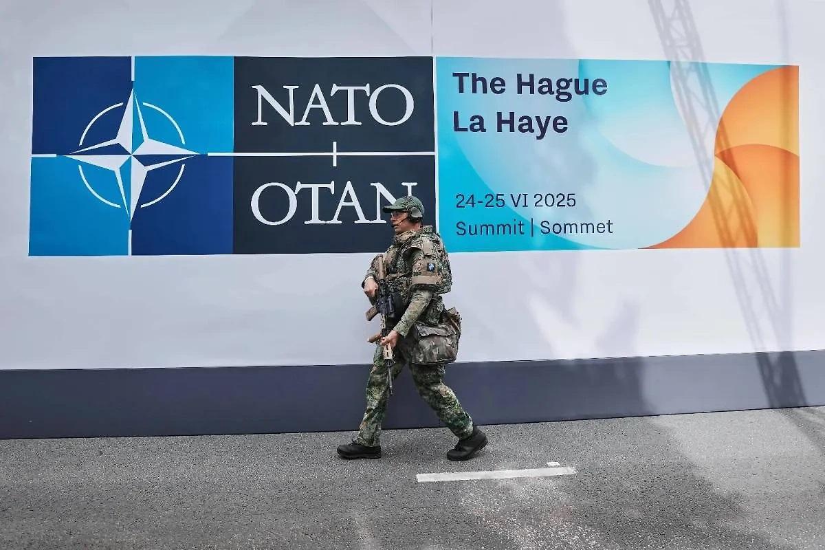 Политолог Родионов назвал два условия, гарантирующие не вхождение Украины в состав НАТО