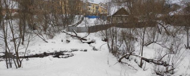 В Ивановской области нашли мать новорожденной девочки, труп которой обнаружили в овраге