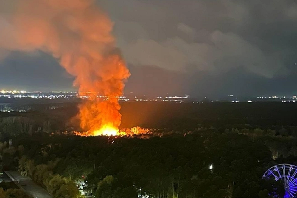 В Новосибирске в пожаре погибли 10 обитателей местного зоопарка