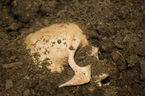 В Китае обнаружили череп «человека-дракона»