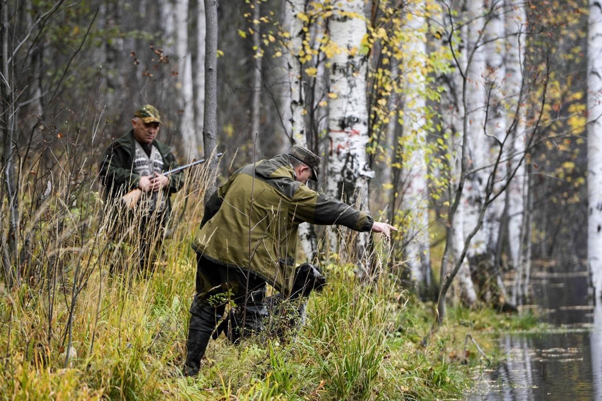 Магаданский Госохотнадзор озвучил сроки сезона охоты на медведей, оленей и других животных