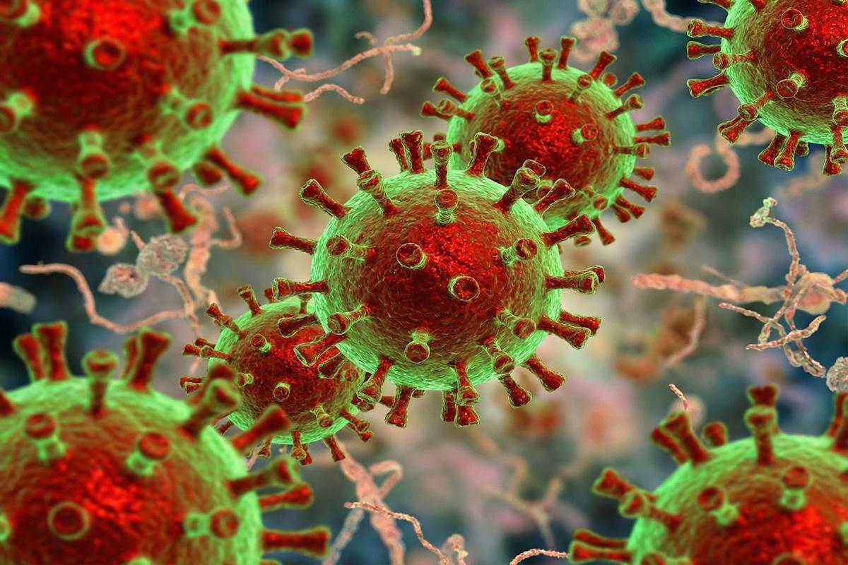 Вспышка норовируса в Карибском море: пострадали пассажиры и члены экипажа