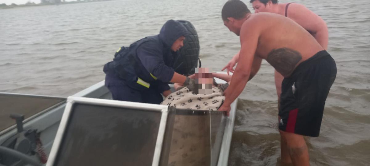 В Астрахани на пляже из-за урагана на женщину упало дерево