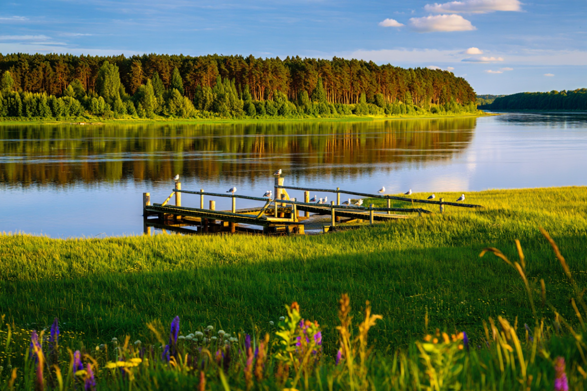 В Литве найдено тело предполагаемого калининградца