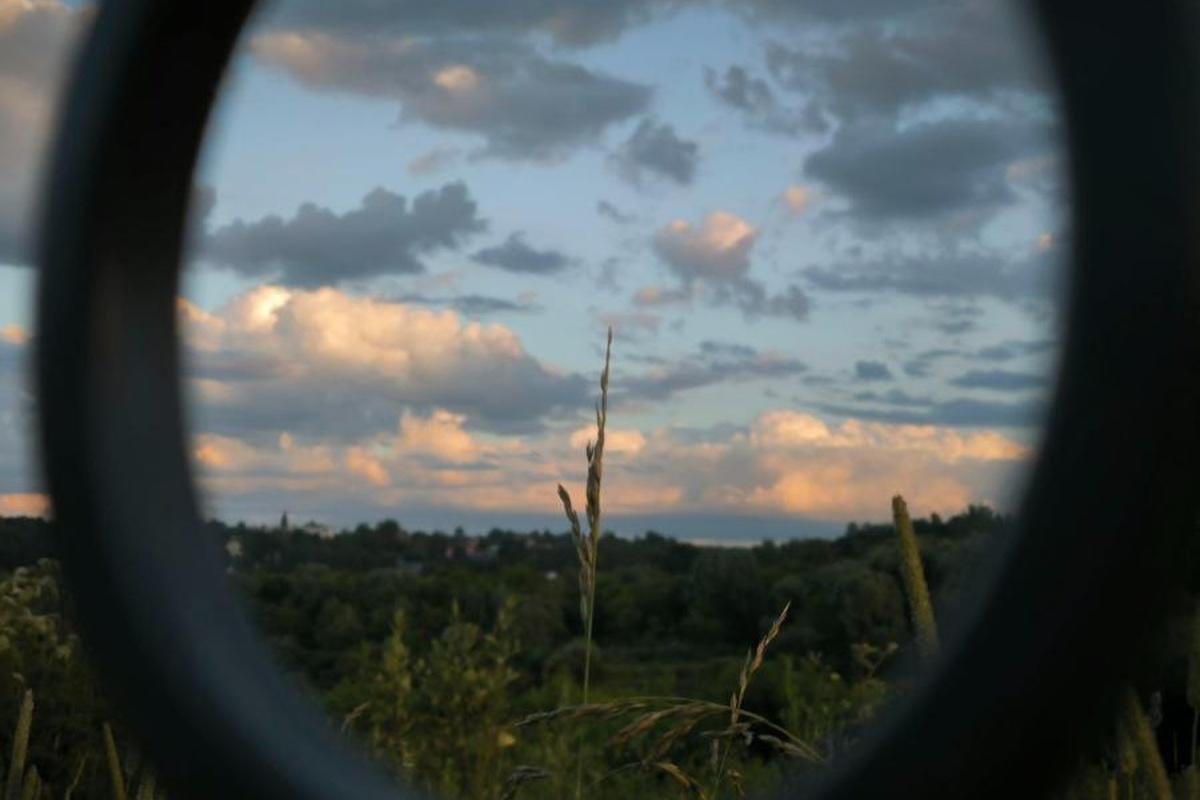 Суды Калужской области в 2025 году конфисковали 9 заброшенных земельных участков