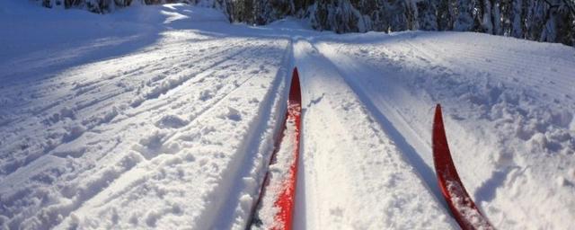 На Камчатке расследуют смерть девочки при катании на лыжах