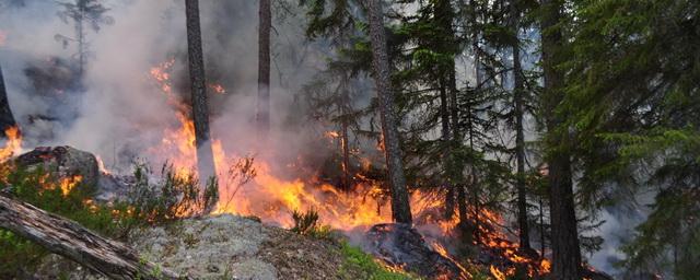 В Ижевске начался пожароопасный сезон
