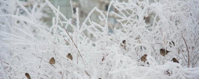 В Астраханской области резко похолодает до -10 градусов