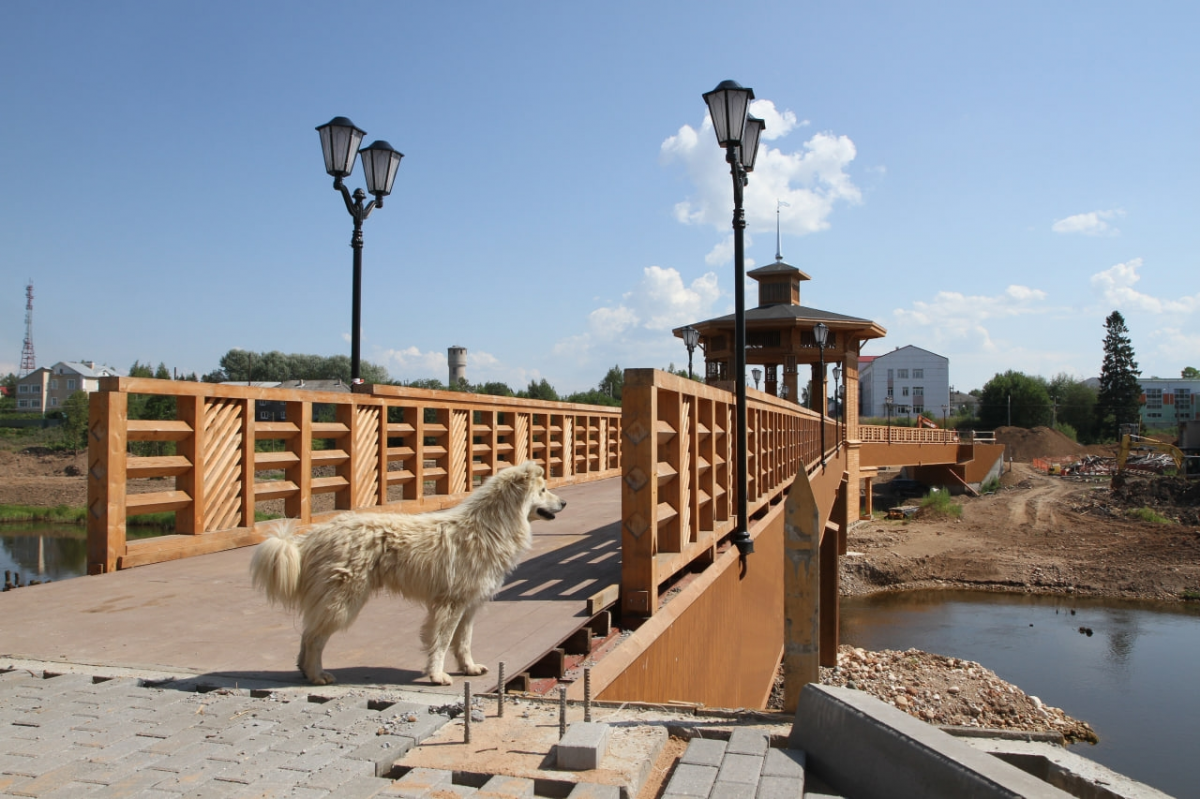 Спикер Заксобрания Роман Заварин: Чипирование собак станет обязательным в Вологодской области с 1 марта 2026 года