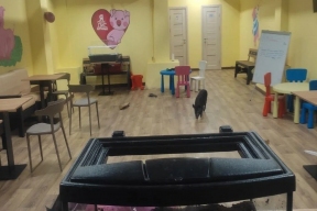 Владельцам ярославского антикафе, где минипиги работали сверхурочно, объявили предостережение