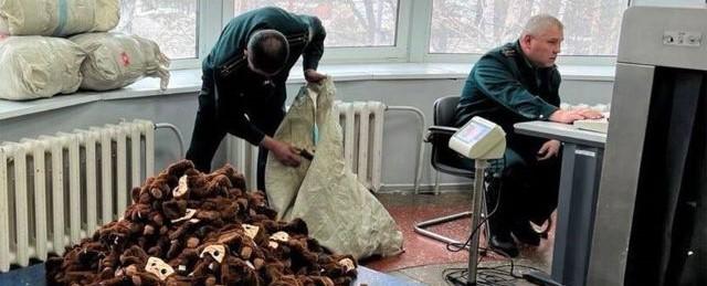 В Приморском крае таможня нашла почти 1200 Чебурашек в багаже гражданина КНР