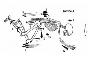 Необычное неолитическое захоронение во Франции оказалось местным, а не «пришлым»