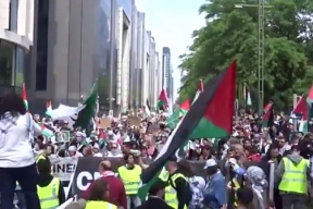 Тысячи протестующих вышли на улицы Брюсселя, чтобы поддержать палестинцев